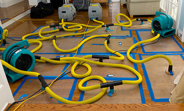 Professional Crawl Space Water Removal technician working in Chelsea, MI